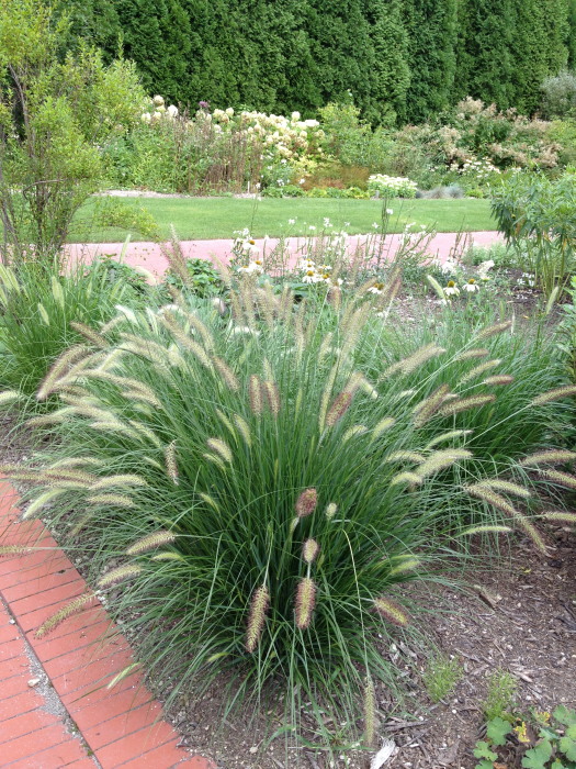 IMG_270320120827.jpg