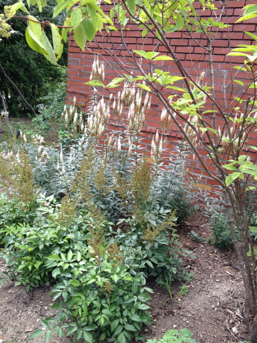 IMG_270720120827.jpg