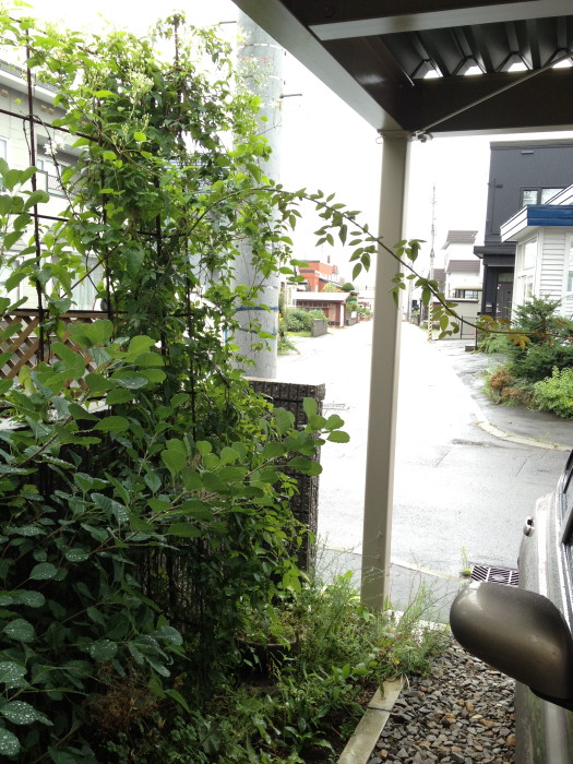 IMG_274520120911.jpg