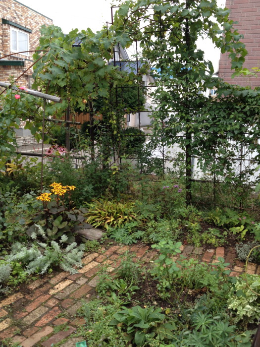 IMG_277620120911.jpg