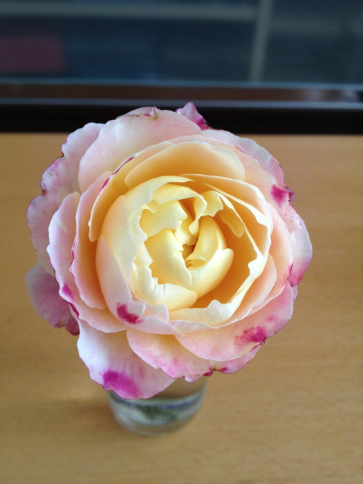 IMG_315120121105.jpg