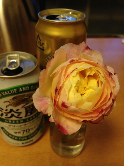 IMG_315420121105.jpg