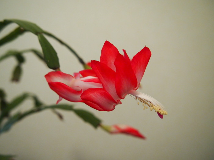 P1012109.jpg