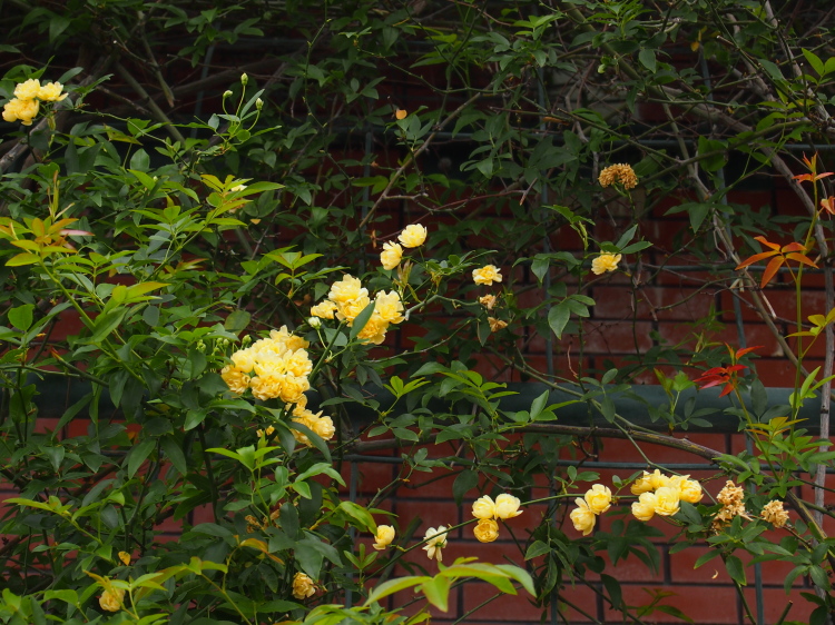 P3302166.jpg