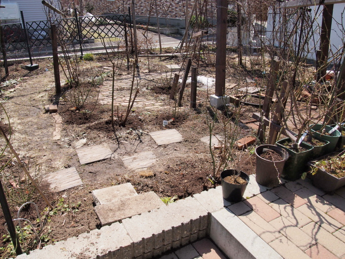 P4212266.jpg