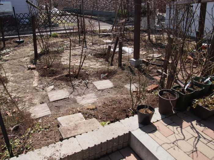 P4212266a.jpg