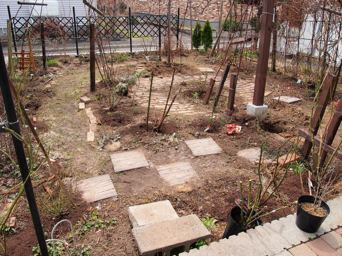 P4242290.jpg