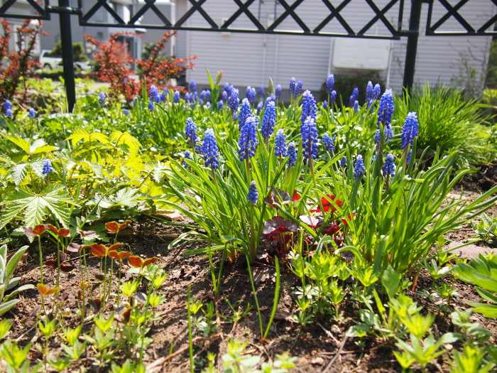 P5080251.jpg