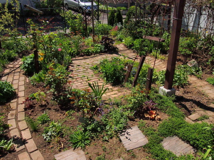 P6042809a.jpg