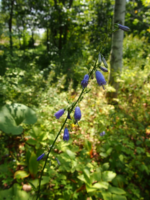 P821164120120821.jpg