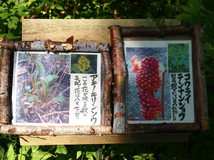 P821170020120821.jpg