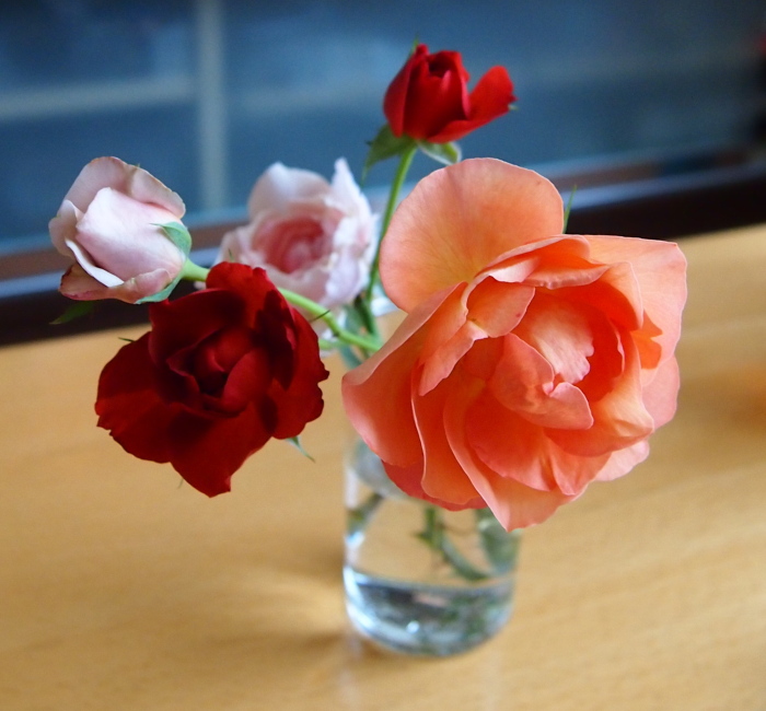 P9191801a.jpg