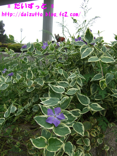20120507e