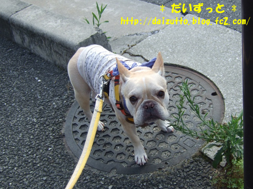 20120726a