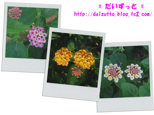 20120727e