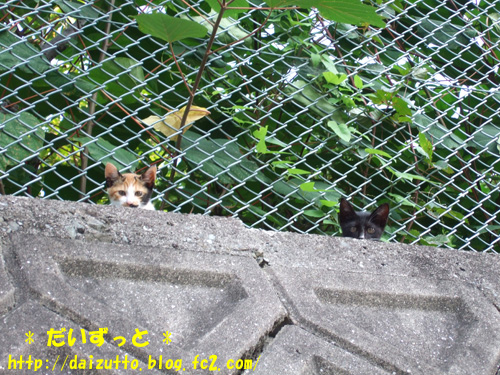 20120731c