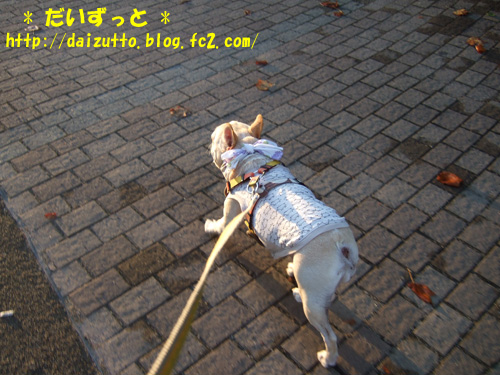 20120807a