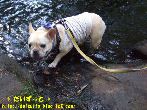 20120916c