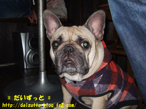20121117a
