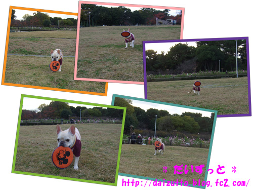 20121124a