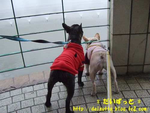 20121126a