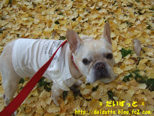 20121127a