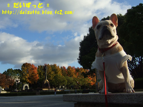 20121127b