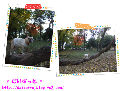 20121127c
