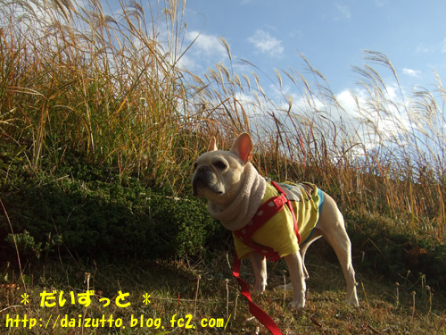 20121204a