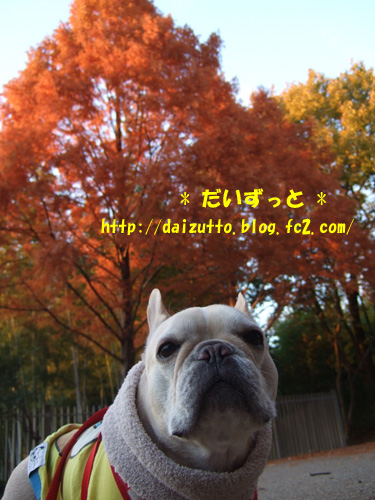 20121204b