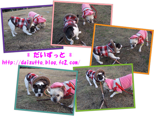 20121207d