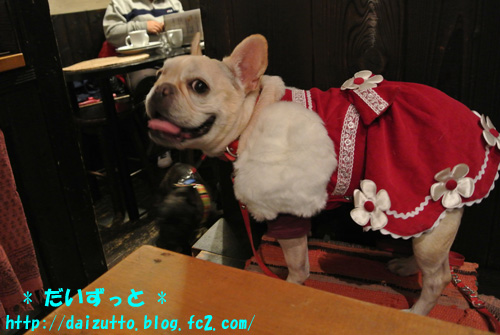20121222a