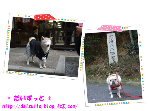 20130103d