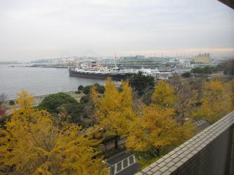 STC_3669.jpg