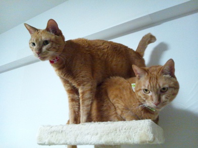 20130318-1.jpg