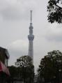 DSC05051.jpg