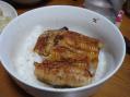 DSC05869.jpg