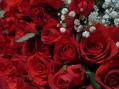 DSC05933.jpg