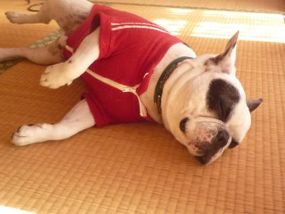 縺輔h縺ェ繧峨$縺・、ェ2009+599_convert_20120828175418