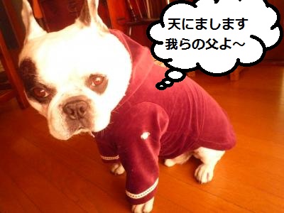 縺ォ縺薙i2012+813_convert_20121001111018