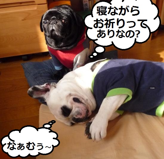 縺顔・医j_convert_20121001130247