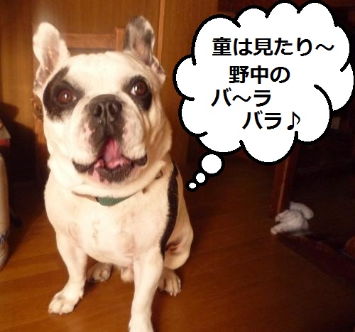 縺輔h縺ェ繧峨$縺・、ェ2009+605_convert_20121125214234