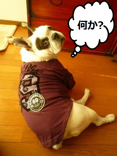 なにか