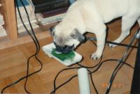 IMG_0088_convert_20120830135028.jpg