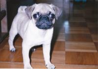 IMG_convert_20120830134405.jpg
