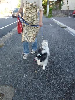 20120731185417856.jpg