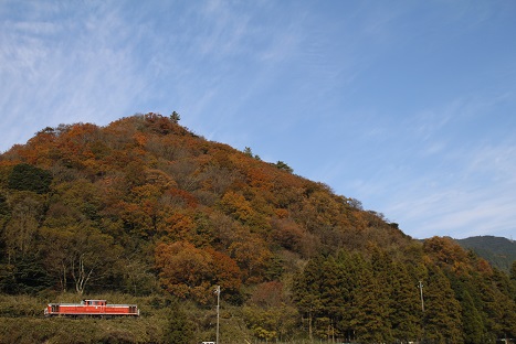 _MG_5006.jpg