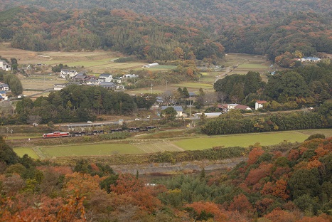_MG_5484.jpg