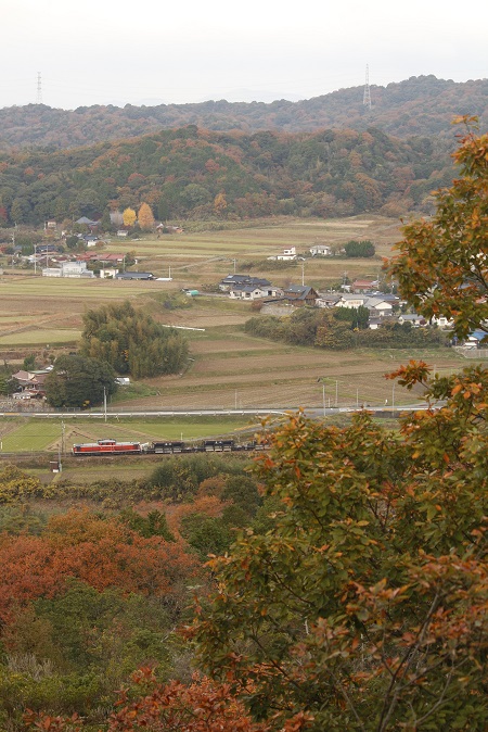_MG_5489.jpg
