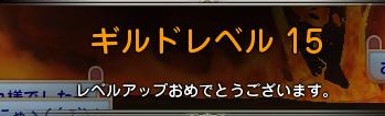 ギルドレベル15!